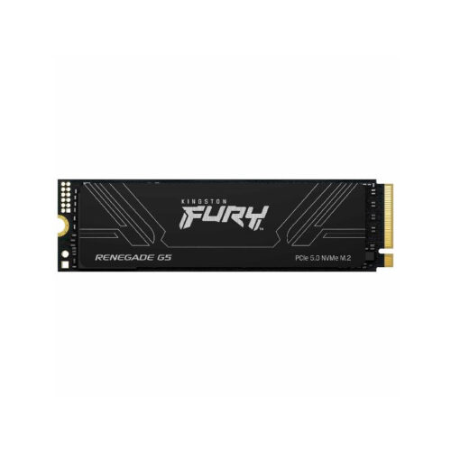 DISCO SSD 2TB KINGSTON FURY RENEGADE G5 M2 NVME